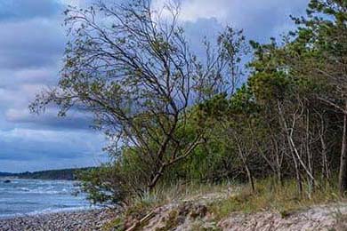 英超冠军争夺：悬念激烈，精彩纷呈！，英超冠军分析