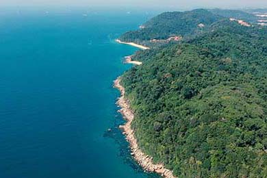 英超冠军争夺：悬念激烈，精彩纷呈！，英超冠军分析