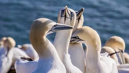 开云体育链接-NBA球员训练技术创新，nba球员日常训练项目