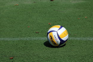 kaiyun电竞-女子排球世锦赛中国队逆转强敌夺冠，女子排球世锦赛几年一届